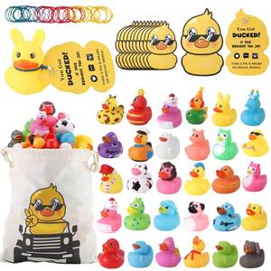lot 11481 image: Rubber Ducks Kits 30 Pcs Assorted Duckies with 30 Duck Tags and 40 Rubber Bands with Storage Bag Random Duckies for Car Ducking Decor, Baby Bath & Pool Toys, Party Favors