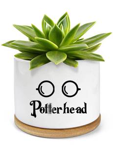 lot 8271 image: PWHINGN Funny Ceramic Succulent Planter Pots with Drainage Bamboo Tray, Office Windowsill Decor Indoor, Funny Plants Pots Desk Accessories for Plant Lovers Mom Friends Teacher (Not Plants)