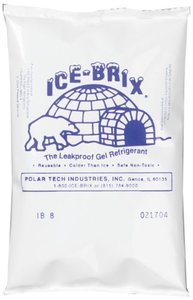 lot 15947 image: Polar Tech  IB 6  ICE-BRIX & XTREME BRIX Cold Packs  6 oz, 6 x 4 x 34 (Case of 48)