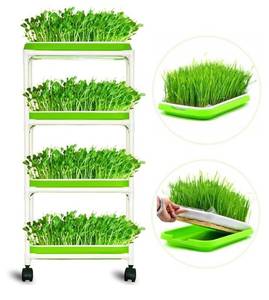 lot 352 image: 4 Layers Sprout Trays with Extra Strength Plastic Shelf Soil-Free Healthy Wheatgrass Seeds Grower & Storage Trays for Garden Home Office