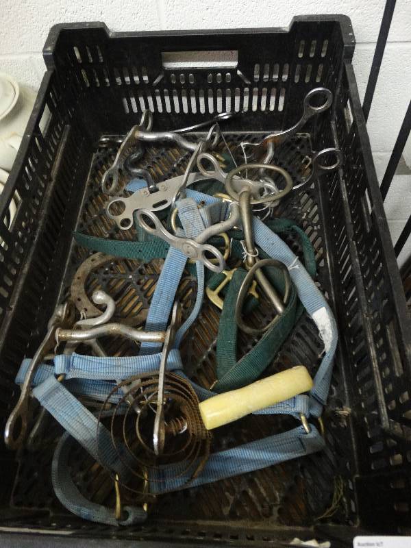 lot 3566 image: Lot of Horse Bits & Halters.