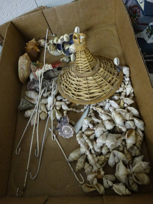 lot 3586 image: Lot of Various Sea Shells.