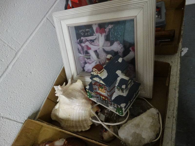 lot 3588 image: Lot of Various Sea Shells, Decor, Shadowbox art.