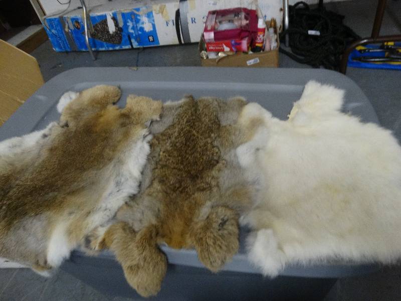 lot 3596 image: 3 Rabbit Furs.