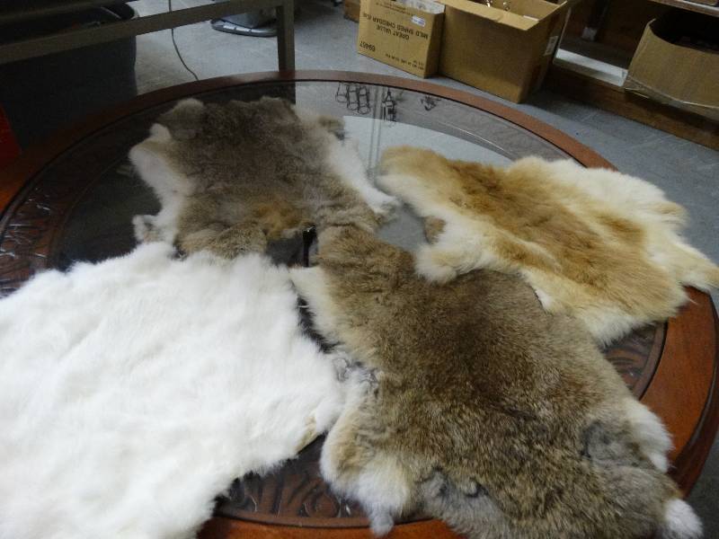 lot 3597 image: 4 Rabbit Furs.