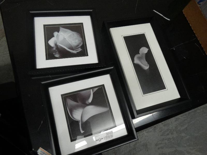 lot 3605 image: Set of 3 Framed Floral Prints.