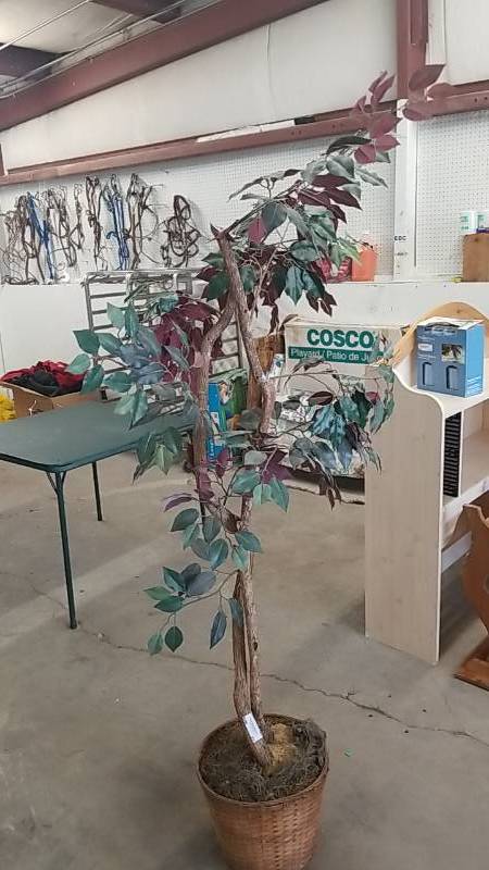 lot 27 image: Cool Faux Tree-  Needs No Care