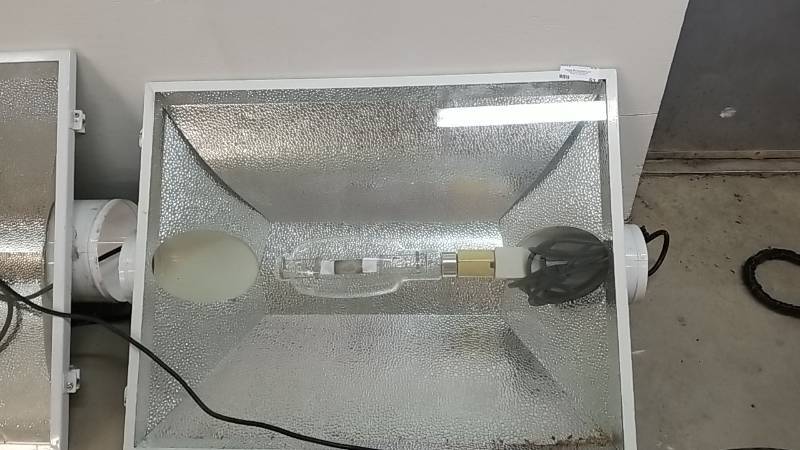 lot 53 image: Hydroponic-  Lighting  Lamp-  Large-  Expensive