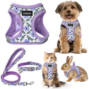 lot 12355 image: GAMUDA Small Dog Harness Collar and Leash Set, Step in No Chock No Pull Soft Mesh Adjustable Dog Vest Harnesses Plaid Reflective for Dogs Puppy Cats Kitten Rabbit (Purple Flower, S)