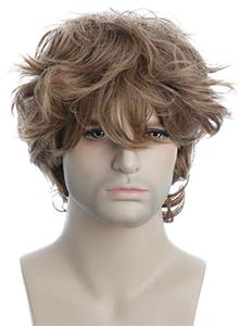 lot 12375 image: karlery Male Mens Short Curly Fluffy Brown Wig with Bang Halloween Cosplay Wig