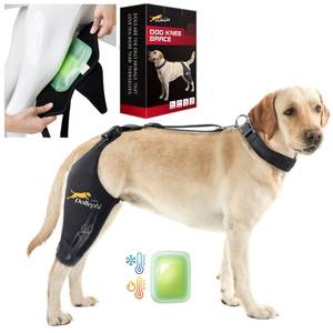 lot 8449 image: Dollephi Dog Knee Brace for Torn ACL Hind Leg, HotCold Compress for Patella Dislocation or Osteoarthritis, Cruciate Ligament Injuries, for Medium & Large Dogs(Right Leg,L)