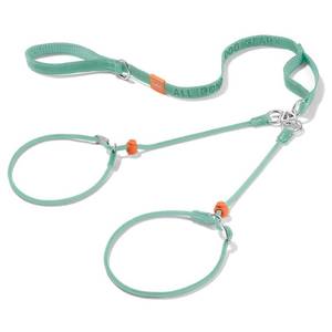 lot 18214 image: Howgo Double Slip Leash Slip Lead with Two Handles Dual Dog Slip Lead for 2 Dogs,360° Swivel No Tangle  Dog Training Collar  Double Clip Leash Coupler and Splitter (MintGreen, 6FT)