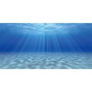 lot 18343 image: AWERT Undersea Theme Aquarium Background Sunshine Underwater World Fish Tank Background 72x18 inches Durable Polyester Background