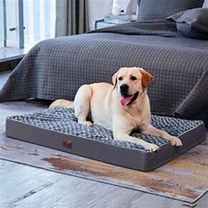 lot 8086 image: Large Orthopedic Egg Crate Dog Bed