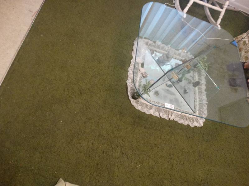 lot 5312 image: Large Glass coffee table, contents not included.