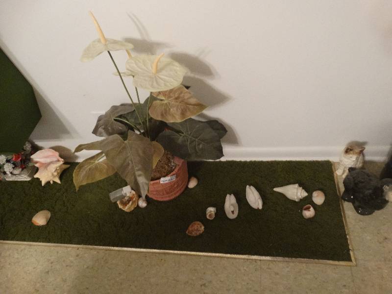 lot 5319 image: Home decor, weights, Faux plants, etc.