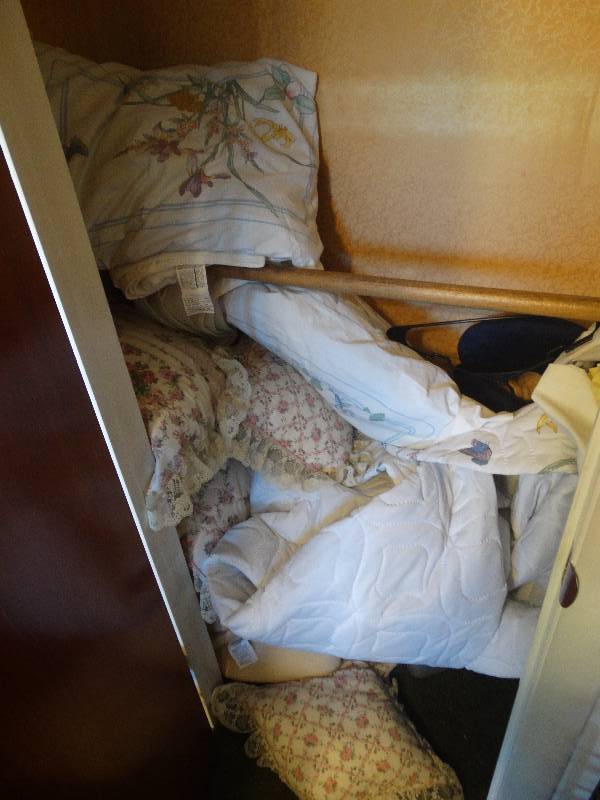 lot 5340 image: Contents of 2 closets.