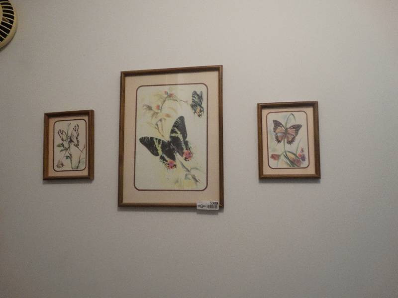 lot 5369 image: 3 wall pictures.