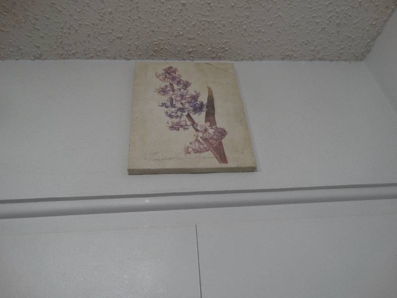lot 5435 image: 4 wall pictures.