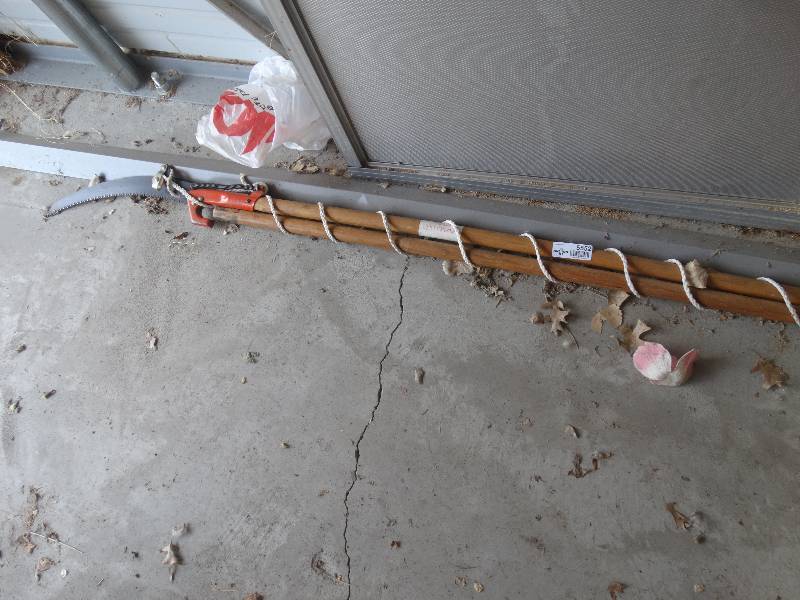 lot 5552 image: Pole saw.