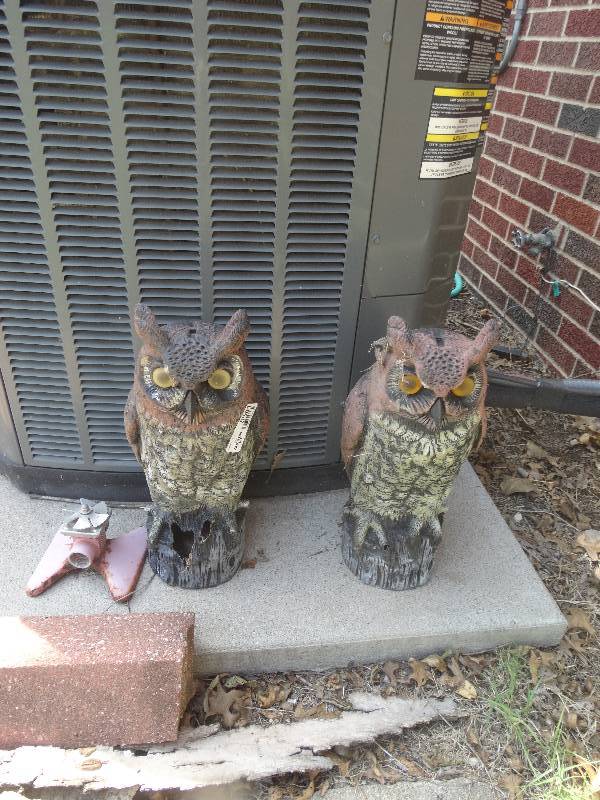 lot 5591 image: A pair of owls, yard decor.