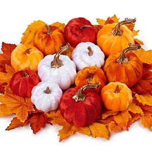 lot 40960 image: DILATATA 12 Pcs Assorted Artificial Pumpkins with 24pcs Maple Leaves Velvet Pumpkins Mini Fake Pumpkins for Fall Decor Halloween Thanksgiving Decor Table Centerpiece Mantel Decor