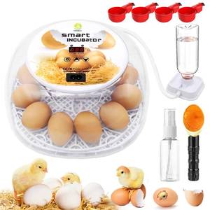 lot 41081 image: Incubators for Hatching Eggs, 12 Egg Incubator with Automatic Egg Turning and Temperature Control, Automatic Water Adding, LED Egg Candler, for Hatching Chickens, Duck, Quail, Goose Eggs (White)