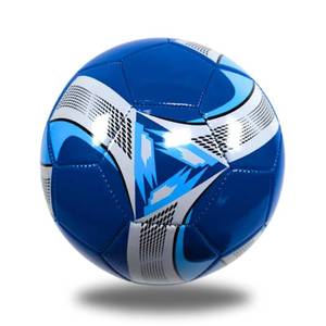 lot 41100 image: GX TOUR Soccer Ball Size 5, Youth Soccer Ball. TrainingMatch.Outdoor Weather Proof. BlueSilver