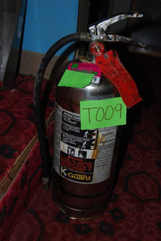 lot 9029 image: Fire Extinguisher - Grease