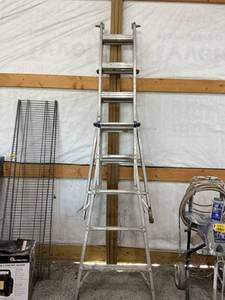 lot 47983 image: Werner Extension Ladder 21 ft