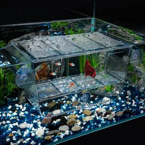 lot 22349 image: Pawfly Aquarium Fish Breeding Box - Acrylic Hatching Box for Baby Fish, Shrimp, Betta, Guppy with 6 Suction Cups
