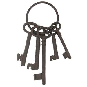 lot 22432 image: Hananona 8 Vintage Cast Iron Skeleton Key Ring Antique Style Pirate Treasure Chest Keys Set For Farmhouse Decor, Halloween Home Decoration Prop (Style-1)