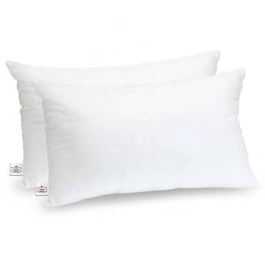 lot 24309 image: Trendy Home 12x18 Throw Pillow Insert (Pack of 2, White), Bed and Couch Pillows Stuffer Hypoallergenic, Lumbar Support Decorative Home Outdoor Pillow Filler (Non Woven, 2 Pack)