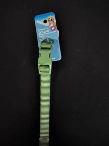 lot 4427 image: Vibrant Life Medium Dog Collar - Green