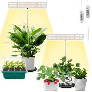 lot 6461 image: LORDEM Grow Light for Indoor Plant, Full Spectrum LED Plant Light, Height Adjustable Growing Lamp with Auto OnOff Timer 4H8H12H, 4 Dimmable Brightness, Ideal for Home Desk Plant Lighting, 2 Pack
