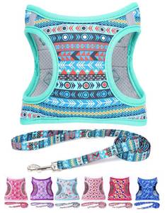 lot 2334 image: Moonpet Step in Boy Dog Harness Leash Set- All Weather Reflective No-Pull Padded Mesh Vest Harness for Cats Puppy Extra-Small Small Medium Large Dogs - Mayan Mysteries - M