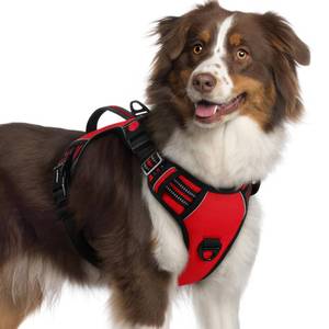 lot 2403 image: rabbitgoo Dog Harness for Large Dogs, No Pull Pet Harness with Soft Padded Handle, Adjustable Reflective Vest with 3 Buckles, Easy Walking Harness with 2 Leash Clips, Red, XL