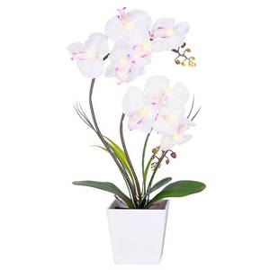 lot 2407 image: HOMESEASONS Homeseaons Orchid Lamp-LED Lighted Orchid Arrangements,Pre Lit Artificial Orchid,Light Up Flower Lights, Faux Orchid Phalaenopsis Arrangement (White)