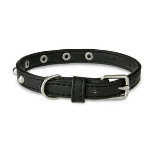 lot 4395 image: Vibrant Life Studded Leather Fashion Dog Collar Black Extra Small