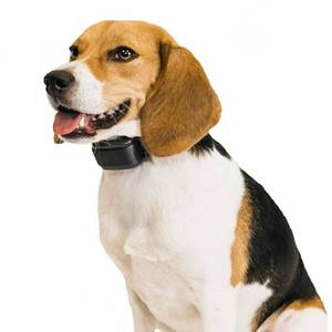 lot 4410 image: Premier Pet Bark Adjustable Collar - BlackGray