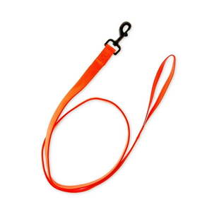 lot 10392 image: Vibrant Life 5 Nylon Metal Standard Dog Leash Hunter Orange L