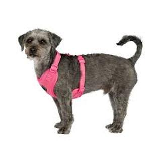 lot 6408 image: Vibrant Life Small Pink Dog Harness for Pug Shih Tzu Jack Russell