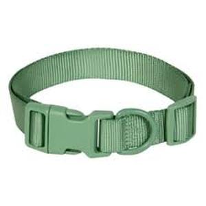 lot 6419 image: Adjustable Green Nylon Pet Collar with Quick-Release Buckle