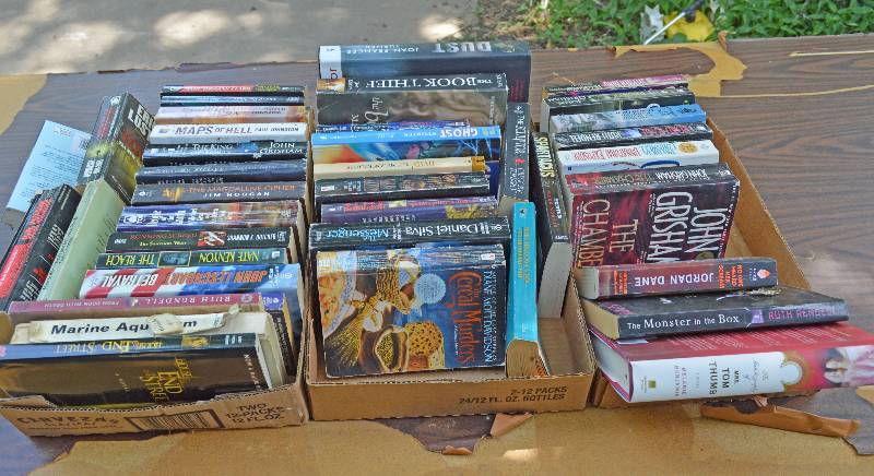 lot 4073 image: Lot of Assorted Books - Very Cool