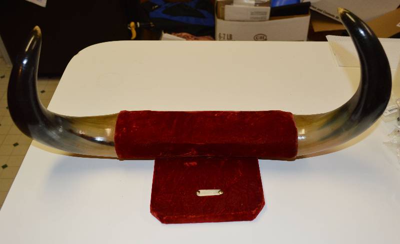 lot 4125 image: Horns on Board- Take a Look