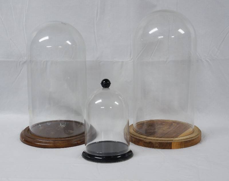 lot 2018 image: Lot of 3 Domed Glass and Wood Display Cases