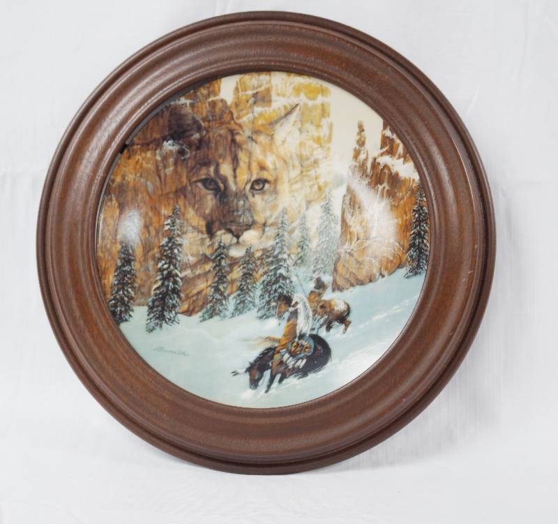 lot 2027 image: Stunning Collectible Plate - Canyon of the Cat Plate # 10246D - NICE