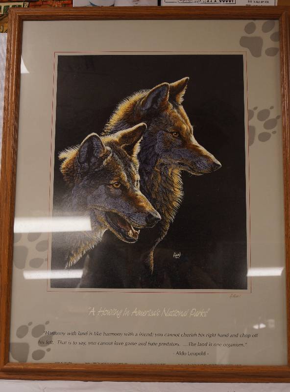lot 2179 image: A Howling in Americas National Parks Frame Photograph - See Photos