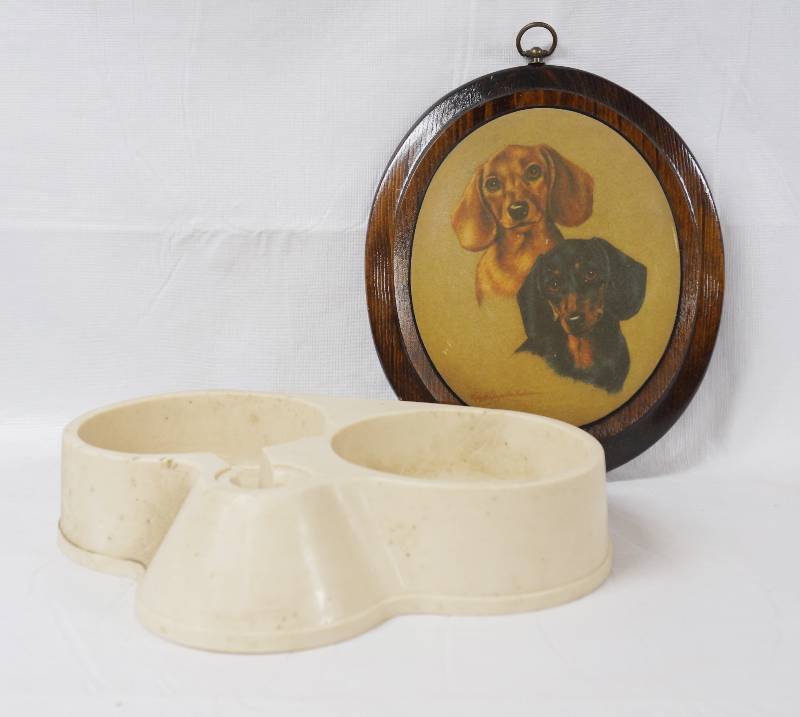 lot 3028 image: Doggie BowlFeeder and Cute Framed Photo- Wow