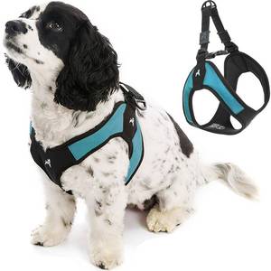 lot 45191 image: Gooby - Escape Free Easy Fit Harness, Small Dog Step-in Harness for Dogs That Like to Escape Their Harness, Turquoise, Medium